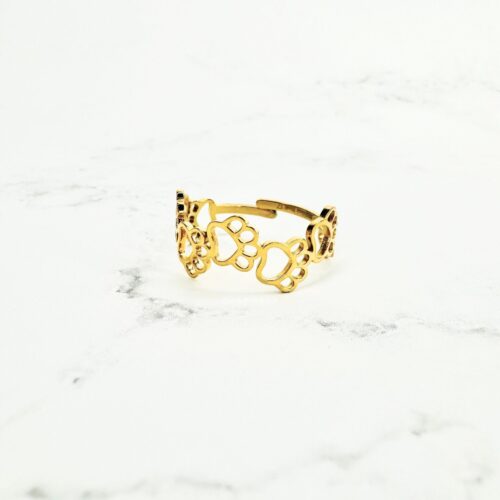 Pawly Ring Gold scaled
